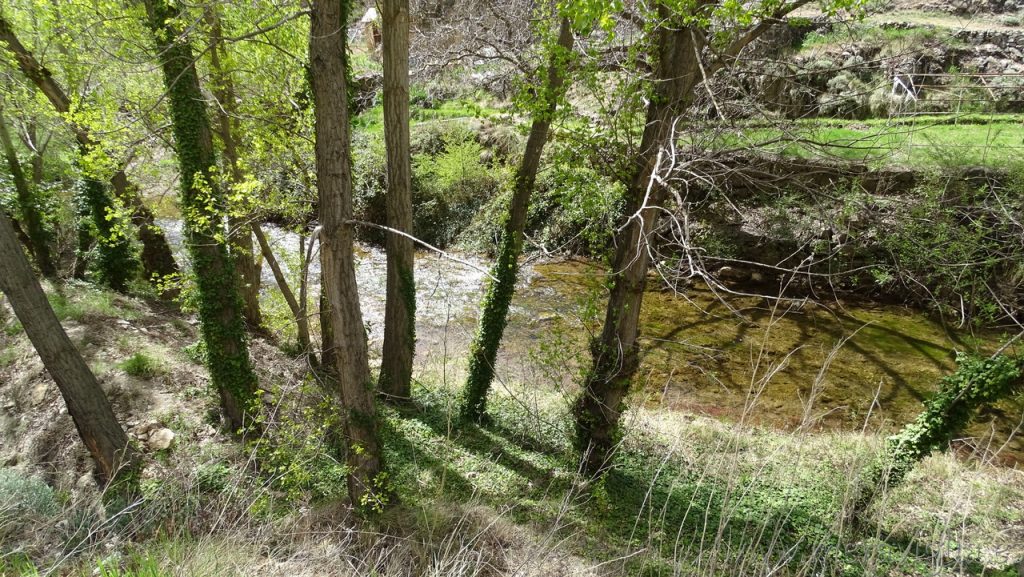 Guadalaviar river